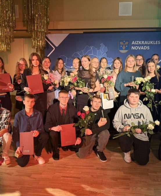 Elīnu godina par brīvprātīgo darbu