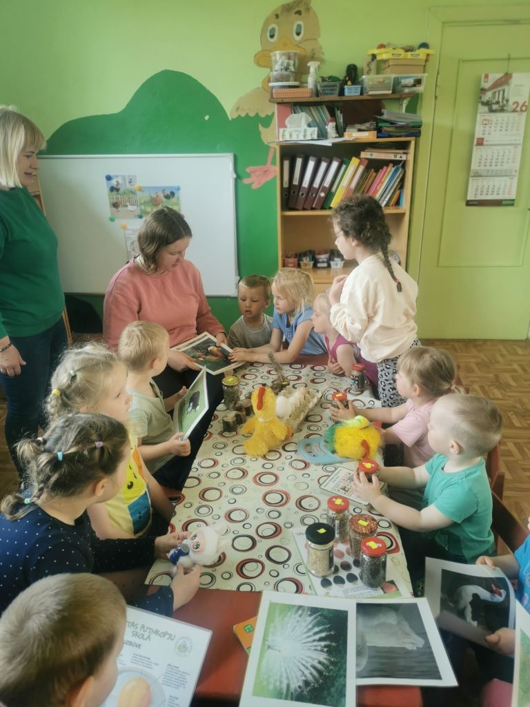 Mazzalvē pirmsskolēni izzina visu par cālīšu šķilšanos
